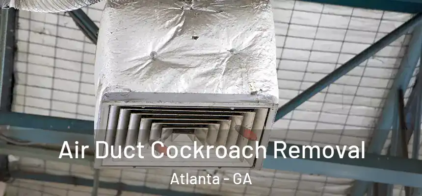 Air Duct Cockroach Removal Atlanta - GA