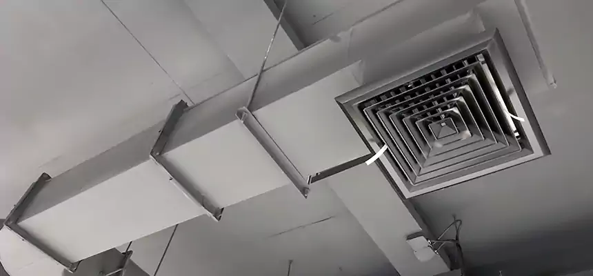 Our Pest Removal From Ducts Services in Atlanta, GA