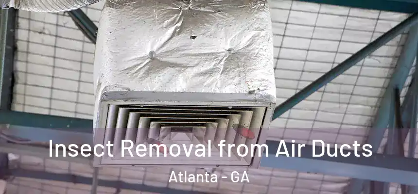 Insect Removal from Air Ducts Atlanta - GA