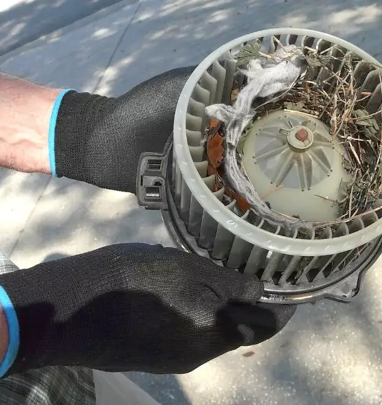 About Air Duct Mice Removal in Atlanta, GA