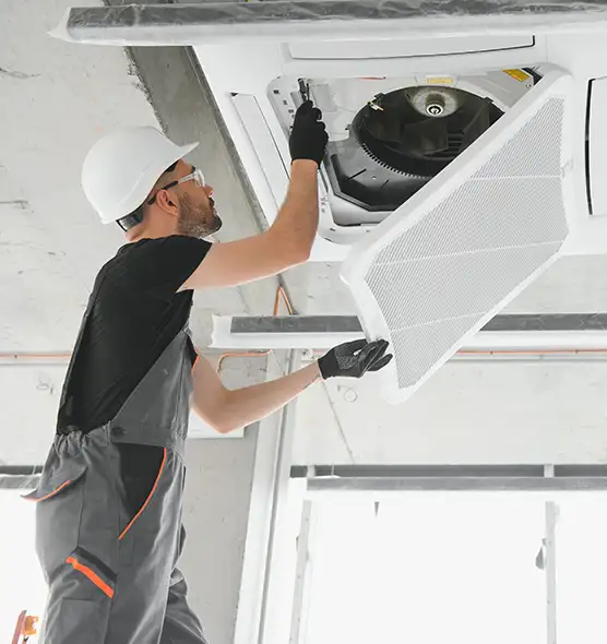 About Air Duct Rodent Removal in Atlanta, GA