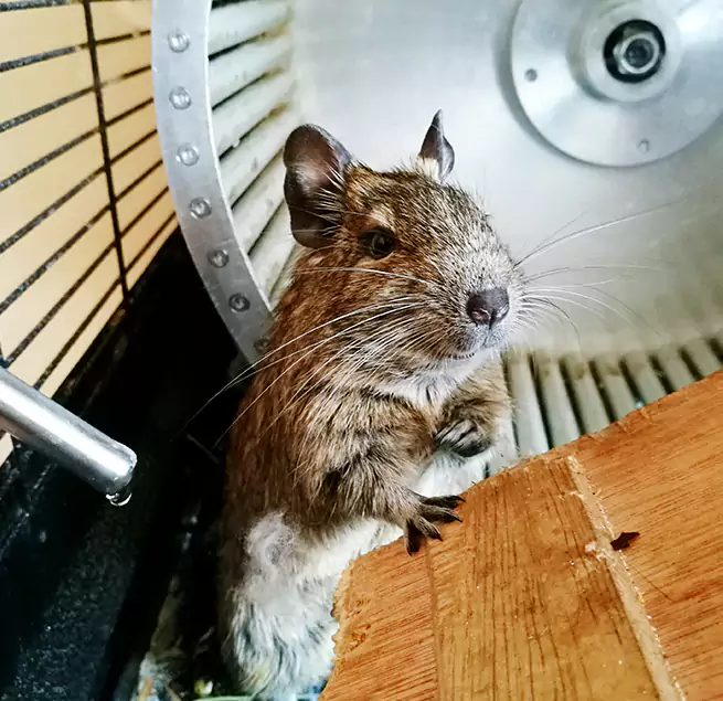 Why Homeowners & Businesses Trust Us Atlanta, GA