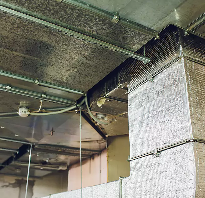 Why Homeowners & Businesses Trust Us in Atlanta, GA?